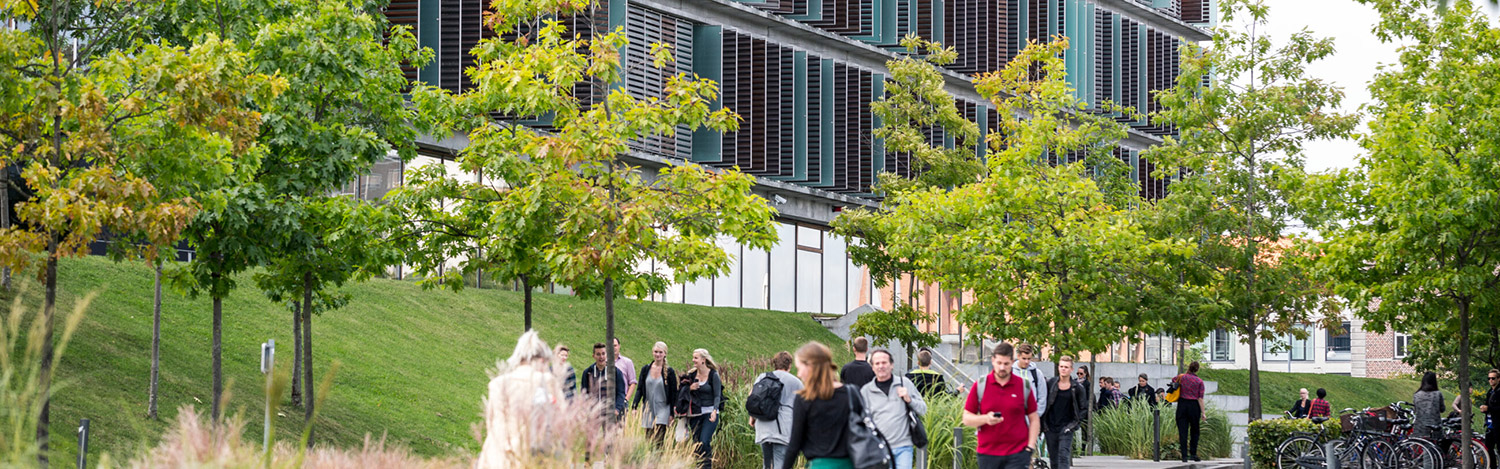 Less is More: How Copenhagen Business School Manages 10K+ MBA Leads by Reducing Touchpoints