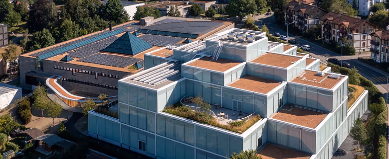 Said Foundation case study background